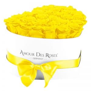 White-Heart-Yellow-Flowerbox