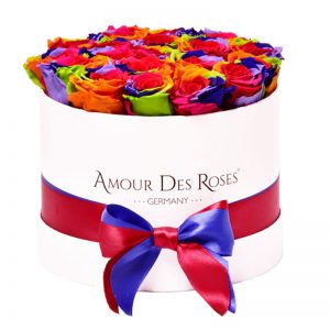 White-Medium-Rainbow-Flowerbox