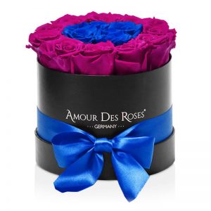 Black-Midi-MagentaBlue-Frame-Flowerbox