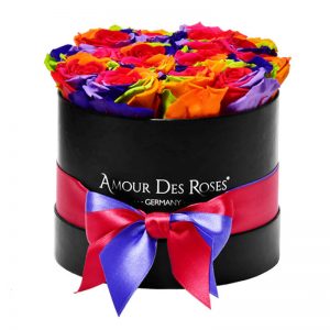 Black-Midi-Rainbow-Flowerbox