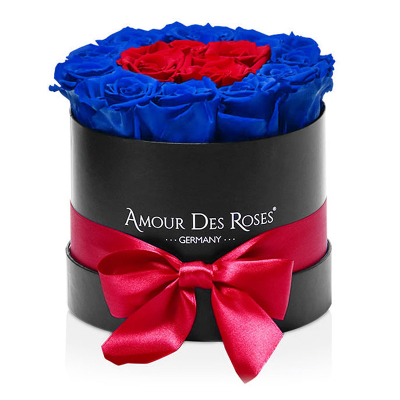 Black-Midi-Red+Blue-Frame-Flowerbox