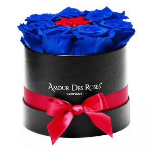 Black-Small-Red+Blue-Frame-Flowerbox