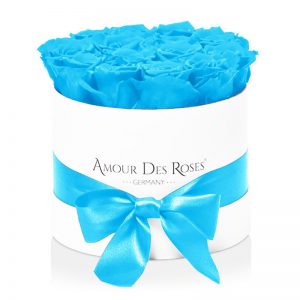 White-Midi-Babyblue-Flowerbox