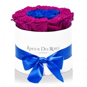 White-Midi-Magenta+Blue-Frame-Flowerbox