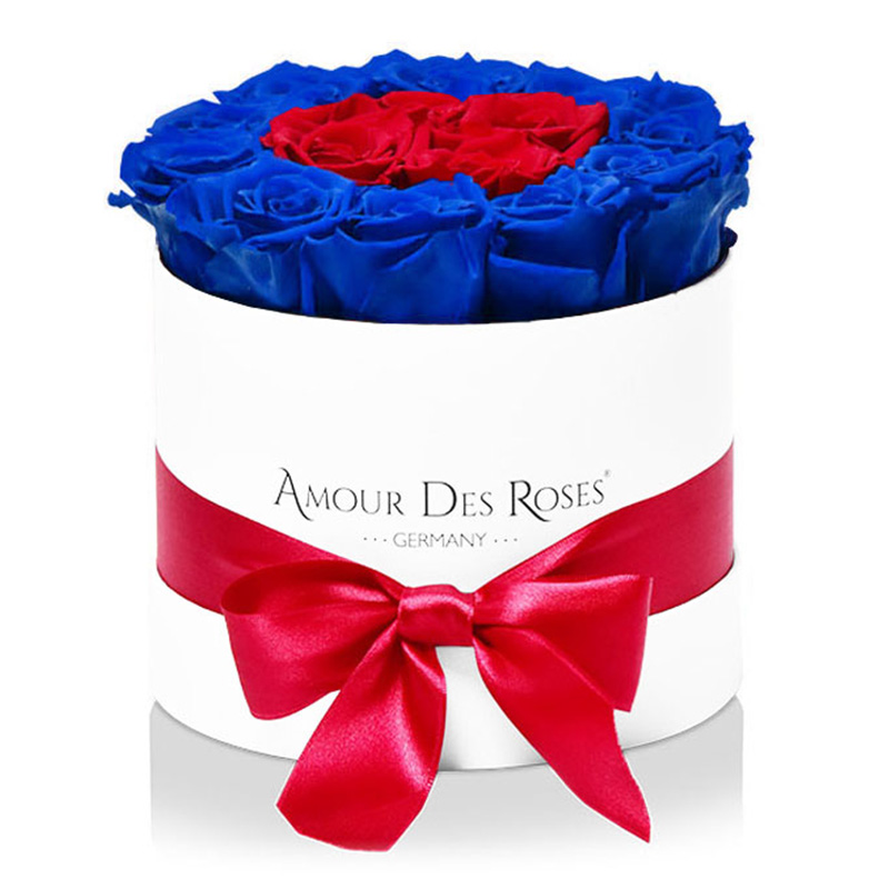 White-Midi-Red+Blue-Frame-Flowerbox