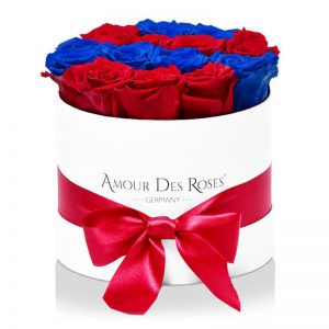 White-Midi-Red+Blue-Row-Flowerbox