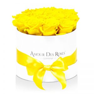 White-Midi-Yellow-Flowerbox