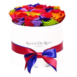 White-Small-Rainbow-Flowerbox