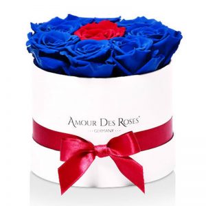 White-Small-Red+Blue-Frame-Flowerbox