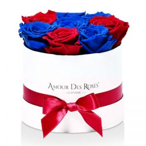 White-Small-Red+Blue-Mix-Flowerbox