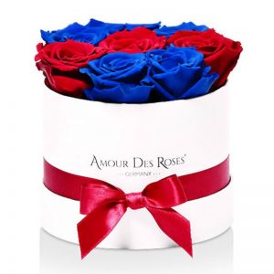 White-Small-Red+Blue-Row-Flowerbox