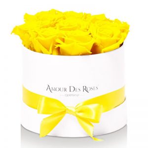 White-Small-Yellow-Flowerbox