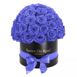 Black-Dome-Purple-Flowerbox