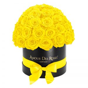 Black-Dome-Yellow-Flowerbox