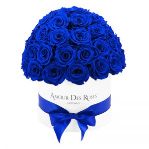 White-Dome-Blue-Flowerbox