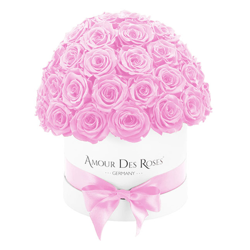 White-Dome-Rose-Flowerbox