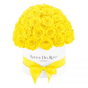 White-Dome-Yellow-Flowerbox
