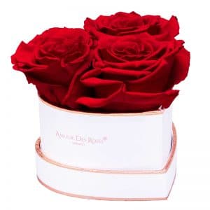 White-Heart-Red-Flowerbox