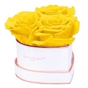 White-Heart-Yellow-Flowerbox